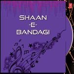 Shaan-E-Bandagi - Jaani Babu Song Download
